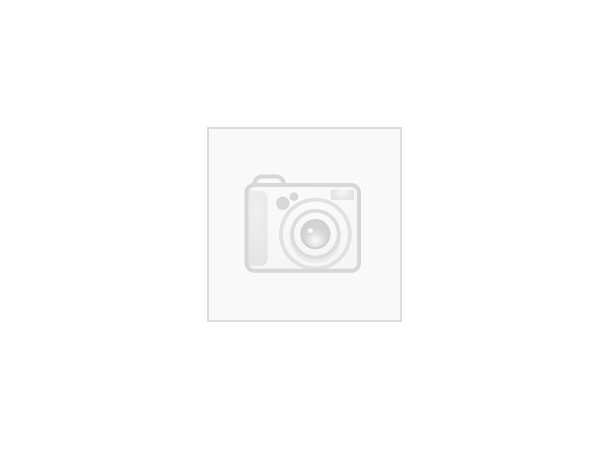Lowa Renegade Evo Ice 2 GTX Ws Sort 3,5 
